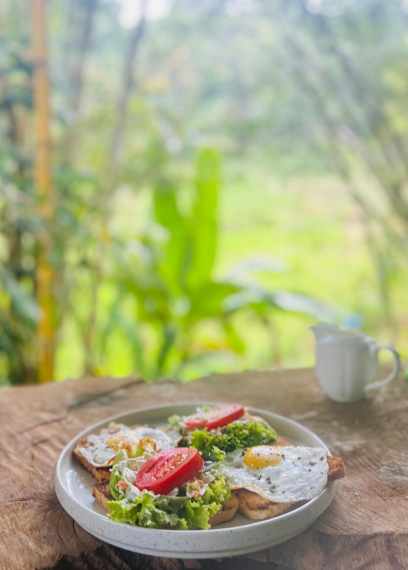 Moksha Eco Villa إيلا المظهر الخارجي الصورة