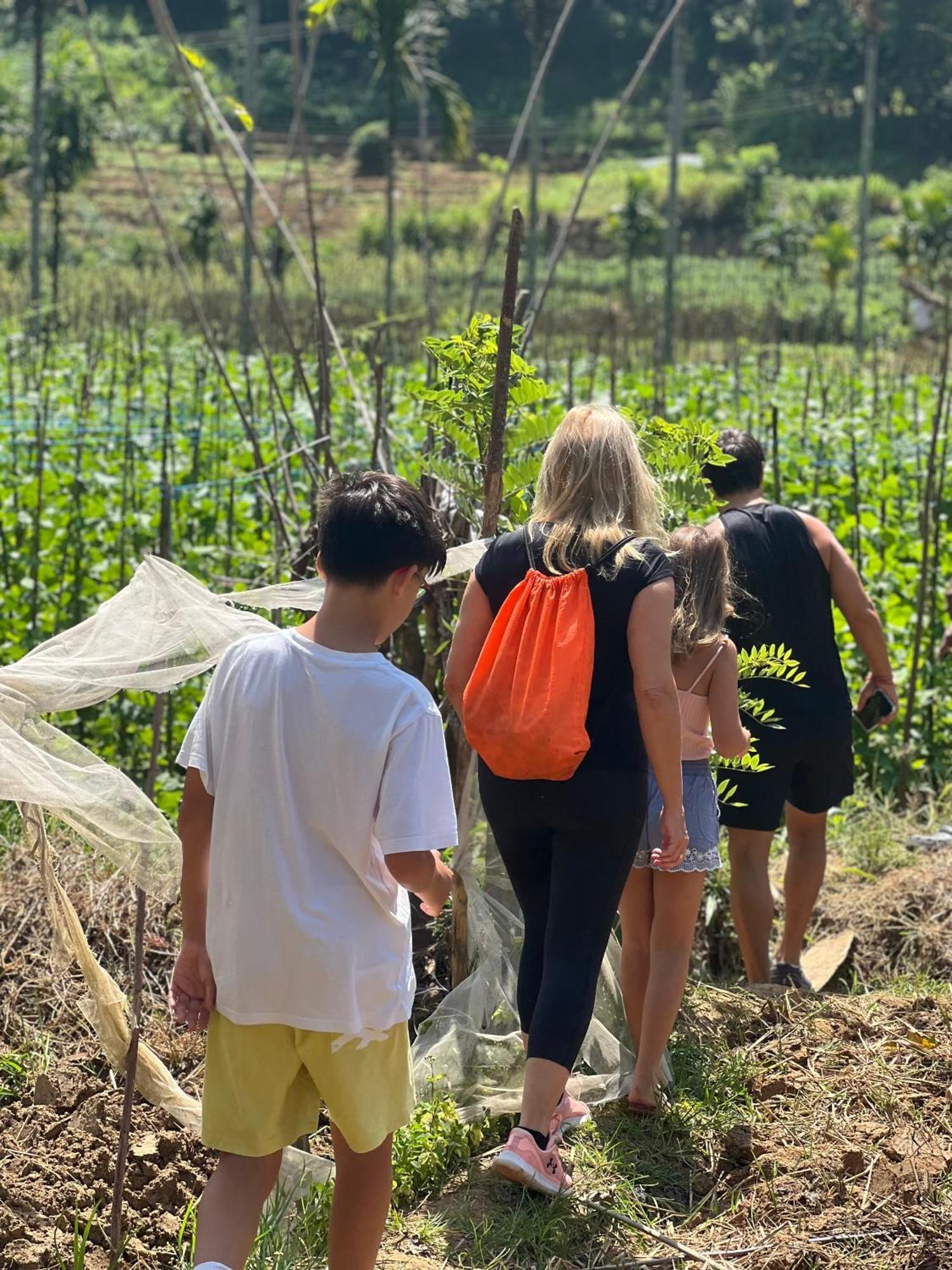 Moksha Eco Villa إيلا المظهر الخارجي الصورة